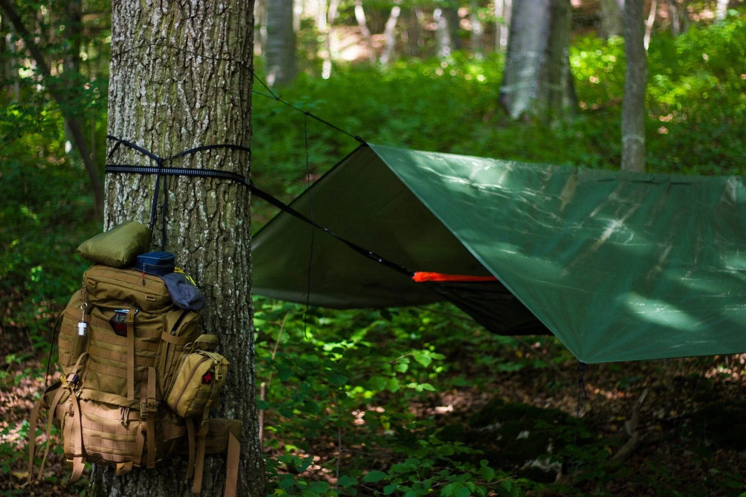 Survival Gear
